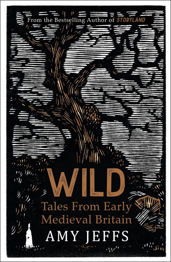 Wild: Tales from Early Medieval Britain from the Bestselling author of Storyland