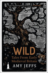 Wild: Tales from Early Medieval Britain from the Bestselling author of Storyland