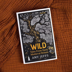 Wild: Tales from Early Medieval Britain from the Bestselling author of Storyland