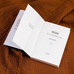 Wild: Tales from Early Medieval Britain from the Bestselling author of Storyland