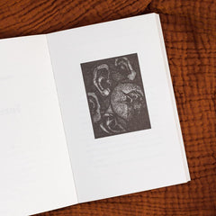 Wild: Tales from Early Medieval Britain from the Bestselling author of Storyland