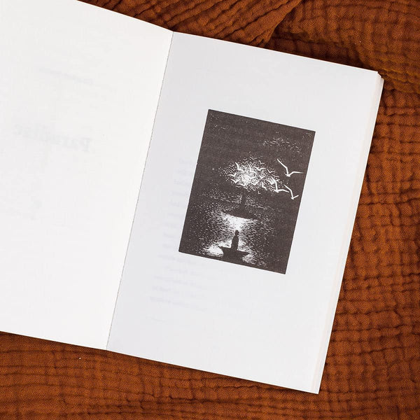 Wild: Tales from Early Medieval Britain from the Bestselling author of Storyland