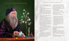 Harry Potter and the Philosopher’s Stone: Illustrated Edition