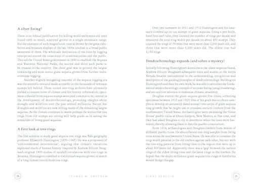 In The Circle of Ancient Trees: Our Oldest Trees and the Stories they Tell