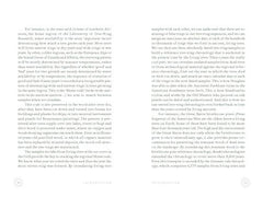 In The Circle of Ancient Trees: Our Oldest Trees and the Stories they Tell