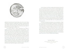 In The Circle of Ancient Trees: Our Oldest Trees and the Stories they Tell