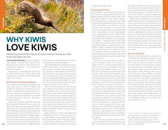 Lonely Planet New Zealand (Travel Guide)