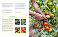 RHS Grow Your Own Veg Through the Year: 365 Days of Homegrown Vegetables & Herbs