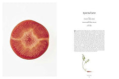 From the Earth: World's Great, Rare and Almost Forgotten Vegetables
