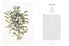 From the Earth: World's Great, Rare and Almost Forgotten Vegetables