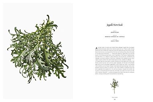 From the Earth: World's Great, Rare and Almost Forgotten Vegetables