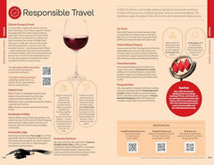 Lonely Planet Chile & Rapa Nui (Easter Island) (Travel Guide)