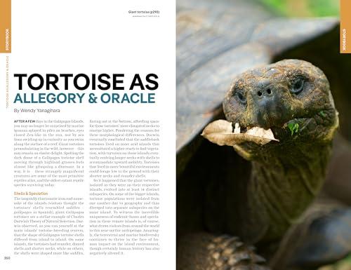 Lonely Planet Ecuador & the Galapagos Islands (Travel Guide)