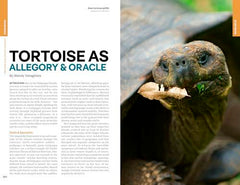 Lonely Planet Ecuador & the Galapagos Islands (Travel Guide)