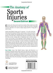 The Anatomy of Sports Injuries