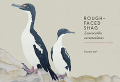 Tits, Boobies and Loons