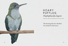 Tits, Boobies and Loons