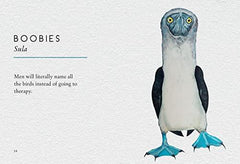 Tits, Boobies and Loons