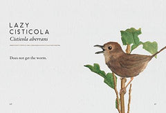 Tits, Boobies and Loons