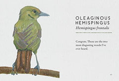 Tits, Boobies and Loons