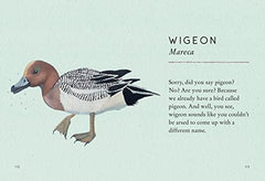 Tits, Boobies and Loons