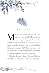 The Horse Dreamer: a gorgeous animal story for readers aged 9+