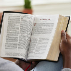 KJV Large Print Reference Bible, Black Leathersoft, Red Letter,
