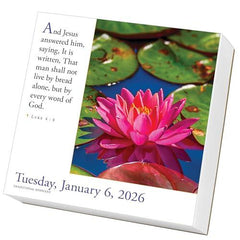 365 Bible Verses-A-Year Page-A-Day® Calendar 2026 *Box Damaged*
