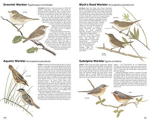RSPB Handbook of British Birds: Fifth edition