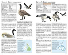 RSPB Handbook of British Birds: Fifth edition
