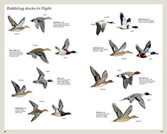 RSPB Handbook of British Birds: Fifth edition