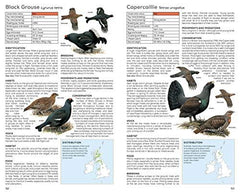 RSPB Handbook of British Birds: Fifth edition