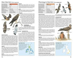 RSPB Handbook of British Birds: Fifth edition