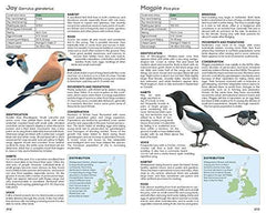 RSPB Handbook of British Birds: Fifth edition