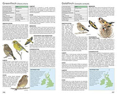 RSPB Handbook of British Birds: Fifth edition
