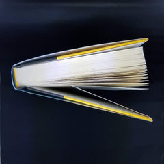 The First 90 Days, Updated and Expanded