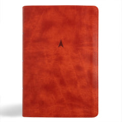 CSB Church Bible, Anglicised Edition, British Tan LeatherTouch, Red Letter,