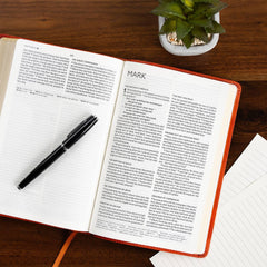 CSB Church Bible, Anglicised Edition, British Tan LeatherTouch, Red Letter,