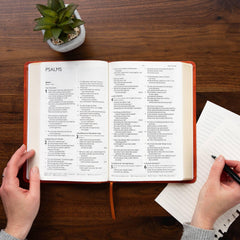 CSB Church Bible, Anglicised Edition, British Tan LeatherTouch, Red Letter,