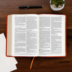 CSB Church Bible, Anglicised Edition, British Tan LeatherTouch, Red Letter,