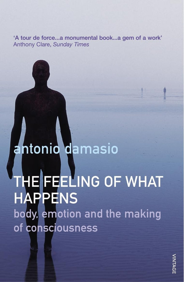 The Feeling Of What Happens: How consciousness emerges from emotion and the body