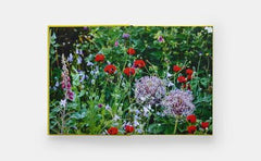 A Year in Bloom: Flowering Bulbs for Every Season