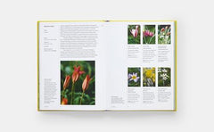 A Year in Bloom: Flowering Bulbs for Every Season