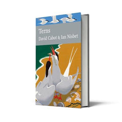 Terns: Book 123 (Collins New Naturalist Library)