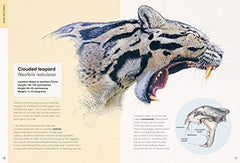 Ben Rothery's Deadly and Dangerous Animals