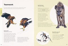 Ben Rothery's Deadly and Dangerous Animals