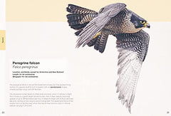 Ben Rothery's Deadly and Dangerous Animals