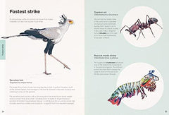 Ben Rothery's Deadly and Dangerous Animals