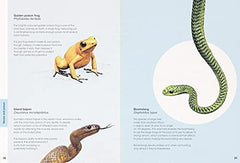 Ben Rothery's Deadly and Dangerous Animals