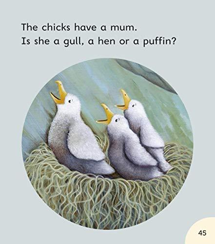 Read with Oxford: Stage 2. Julia Donaldson's Songbirds: